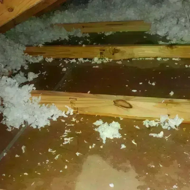 Attic Water Damage in Palo Cedro, CA